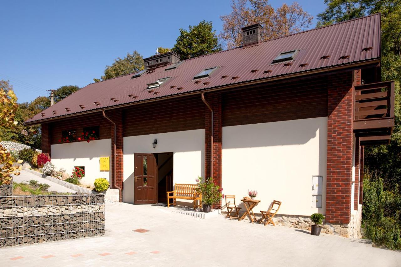 Villa Przy Dolinie à Paczoltowice Extérieur photo